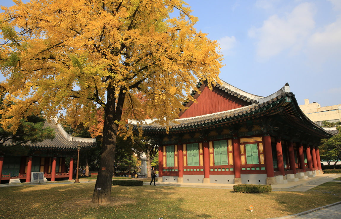 DAEGU (REPUBLIC OF KOREA)